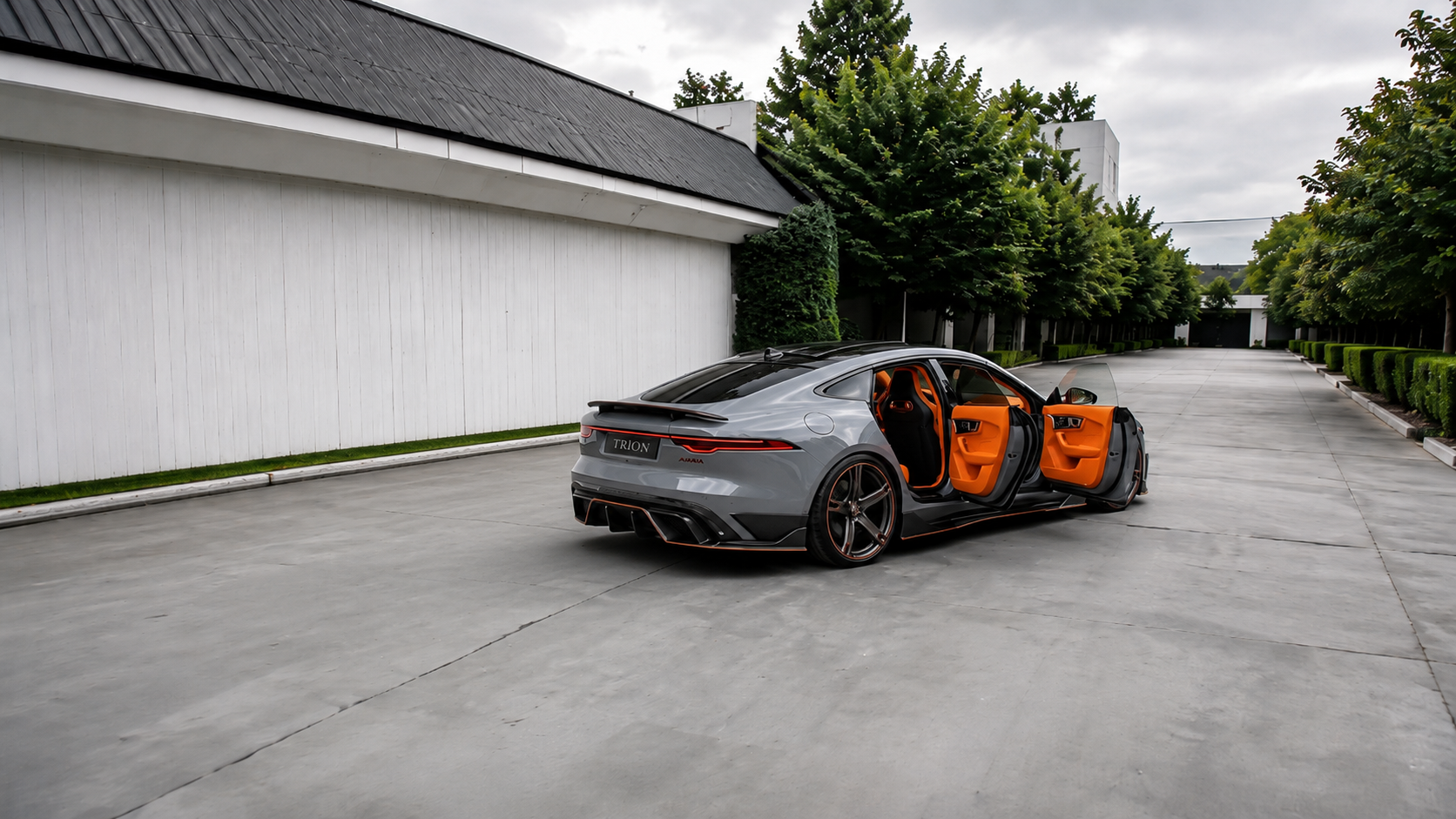 TRION Aruba parked with doors open